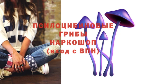 apvp Заволжск