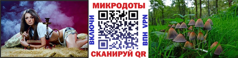 Галлюциногенные грибы Magic Shrooms  Купить закладки  Киржач 